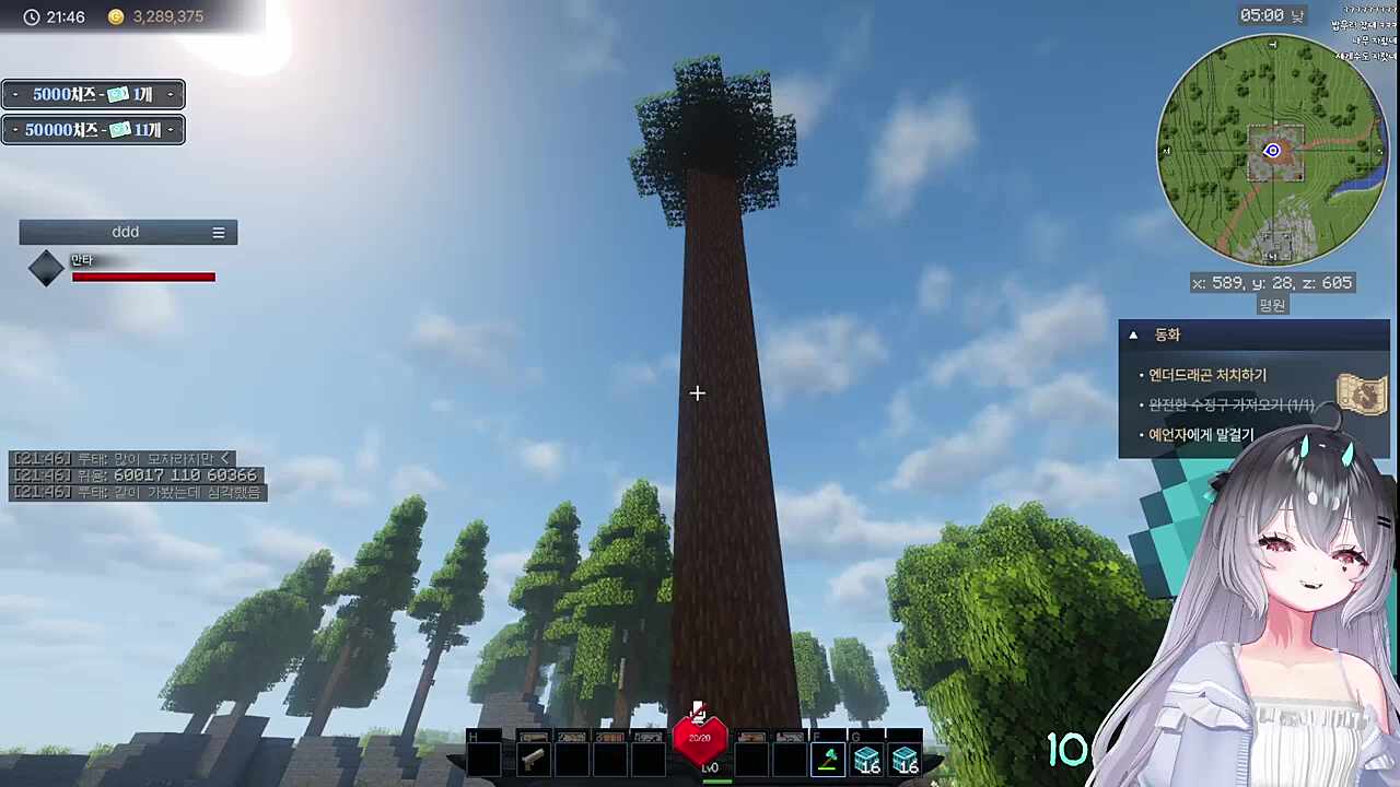 이게 어딜 봐서 가문비야 바오밥이지