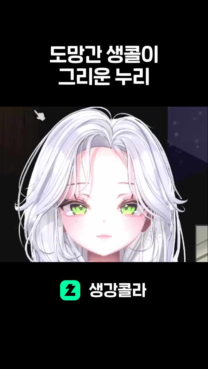 도망간 생콜이 그리운 누리