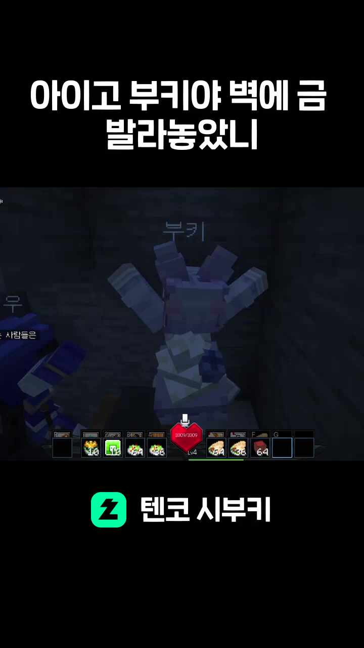 아이고 부키야 벽에 금 발라놓았니