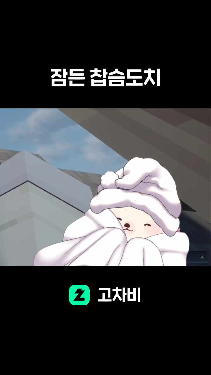 잠든 찹슴도치