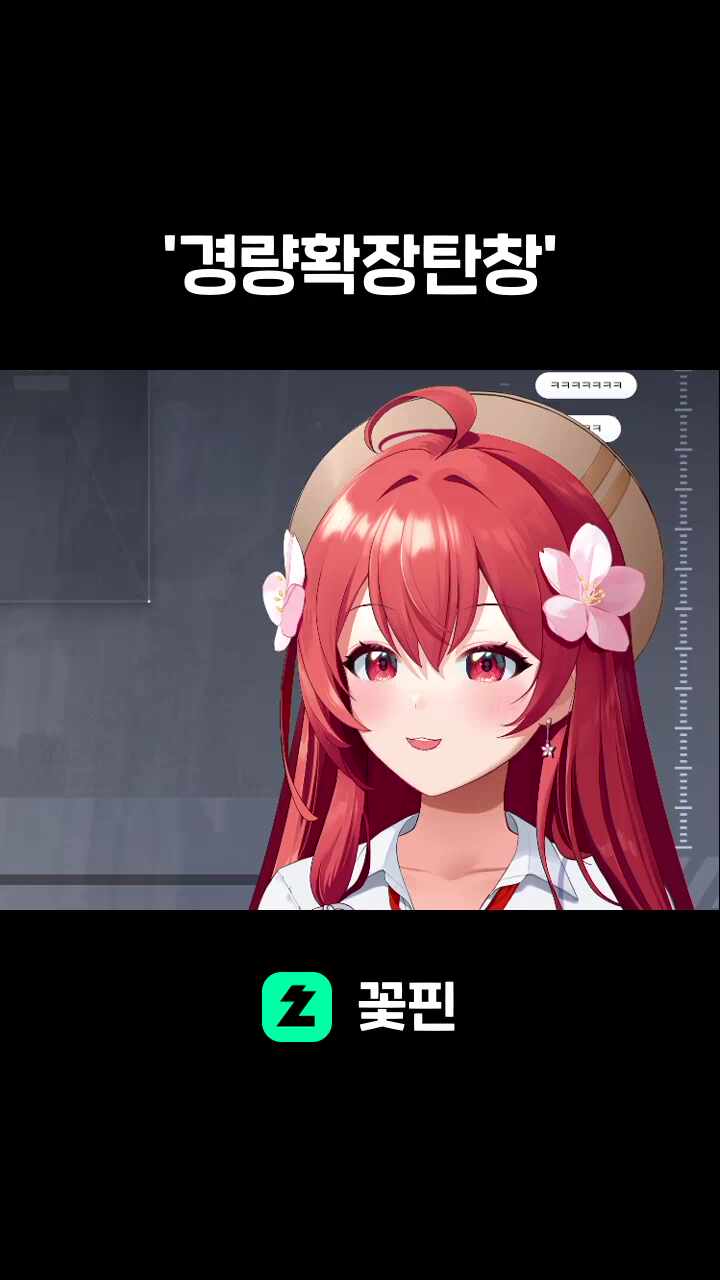 '경량확장탄창'