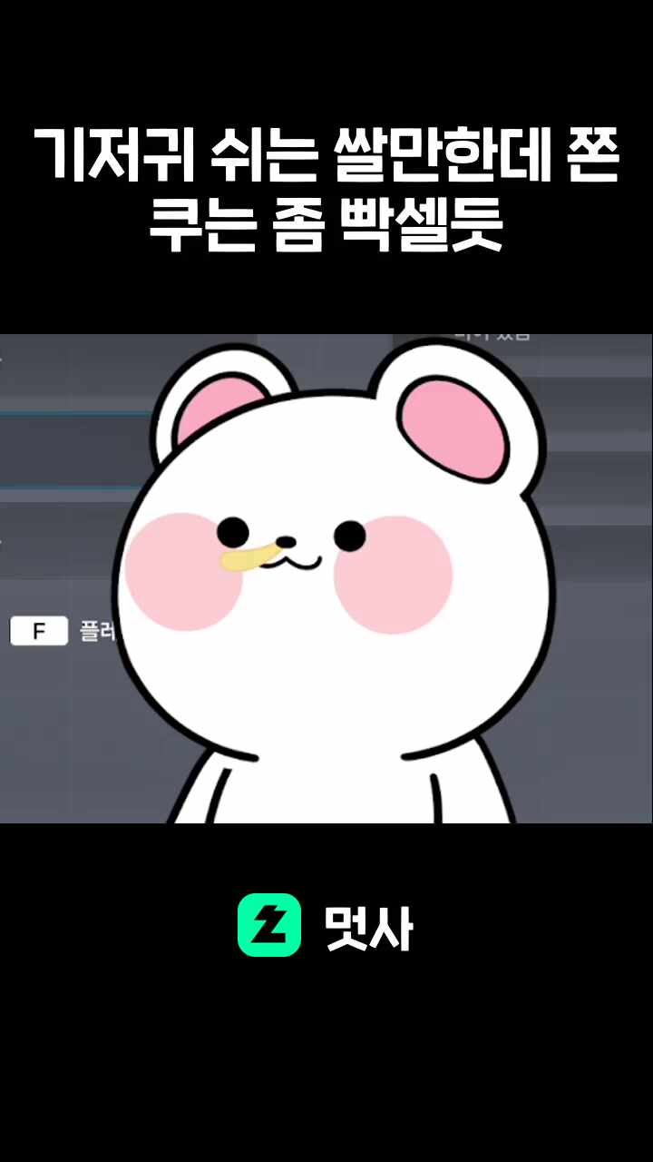 기저귀 쉬는 쌀만한데 쫀쿠는 좀 빡셀듯