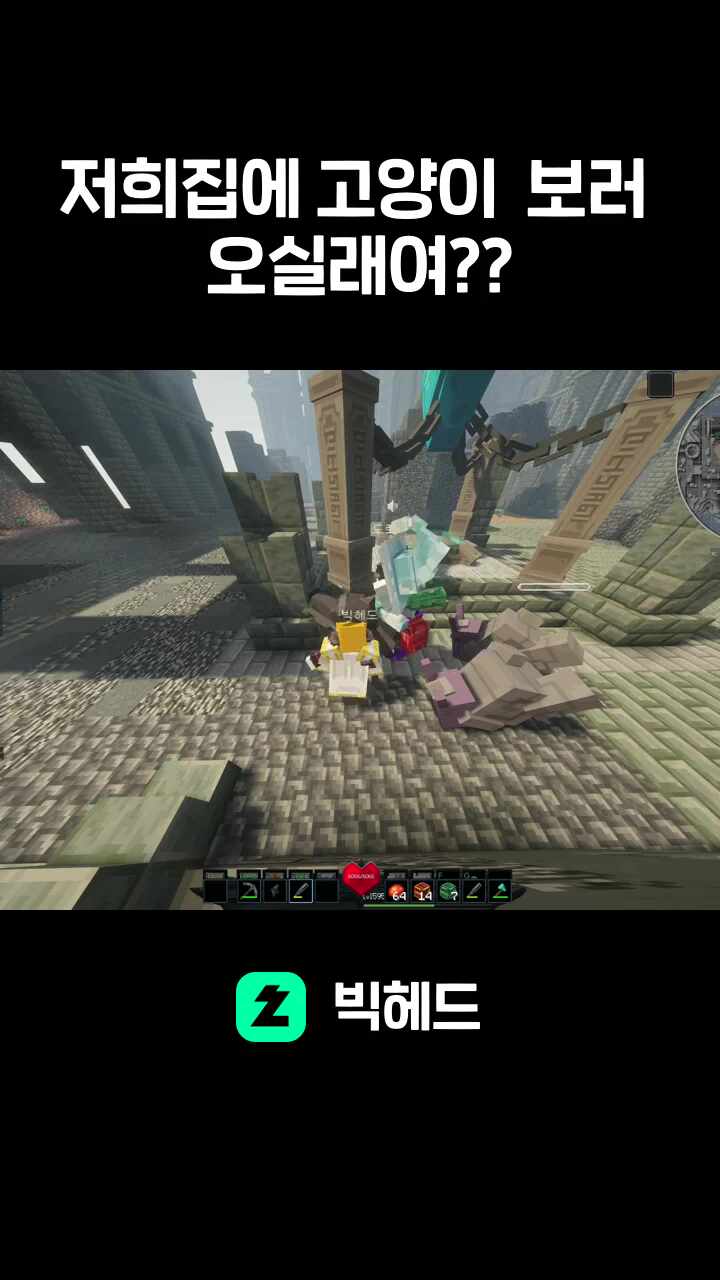 저희집에 고양이 보러 오실래여??