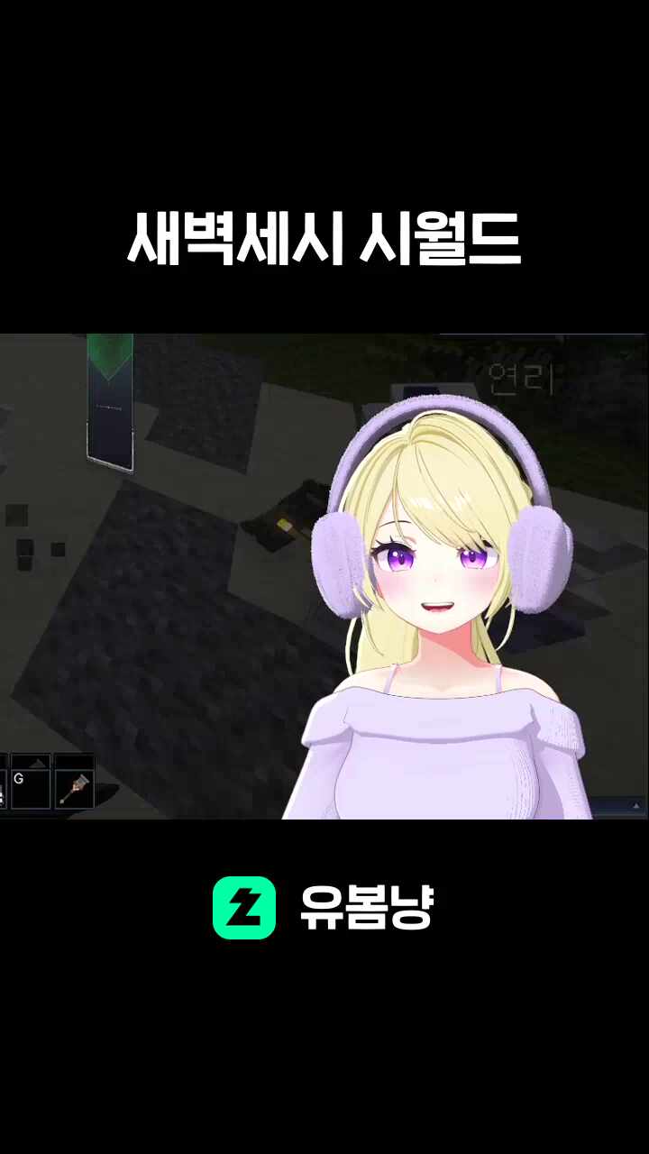 새벽세시 시월드