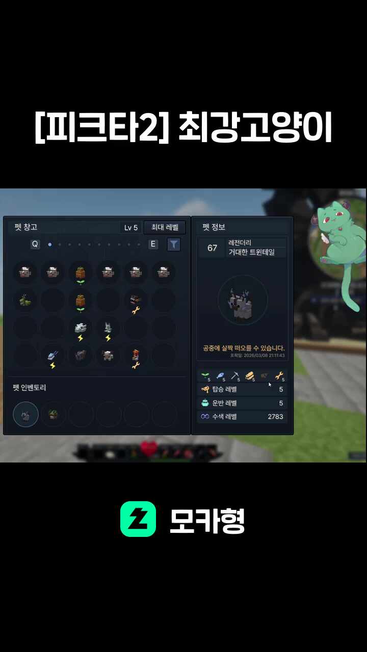 [피크타2] 최강고양이