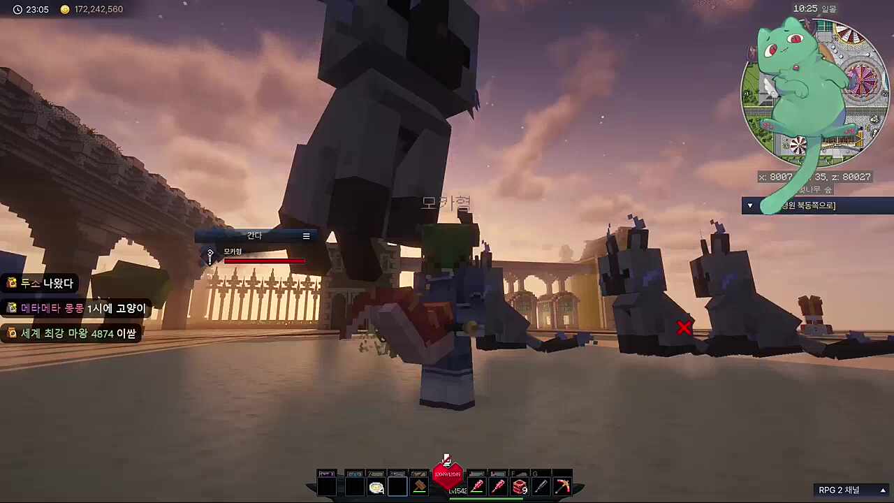 최강고양이 비교샷