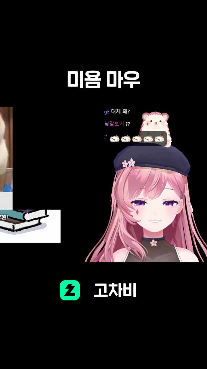 미욤 마우
