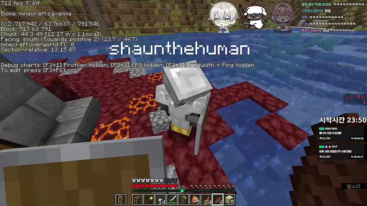 보험사기꾼 숀쟝