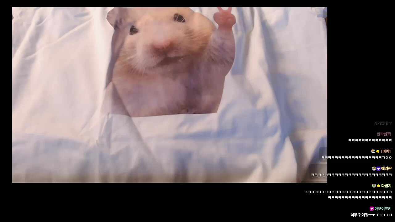 햄찌 티셔츠 ㄱㅇㅇㅋㅋㅋㅋㅋ