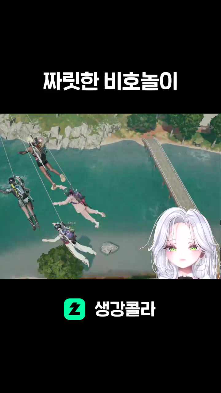 짜릿한 비호놀이