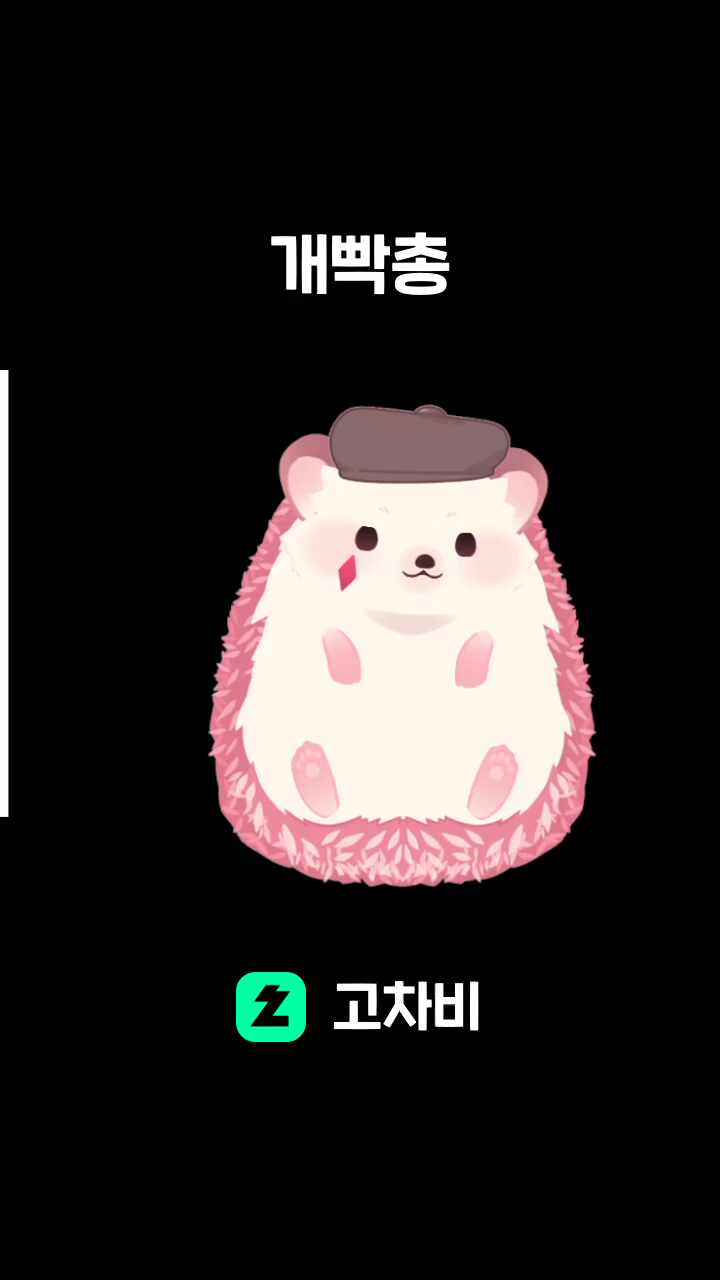 개빡총