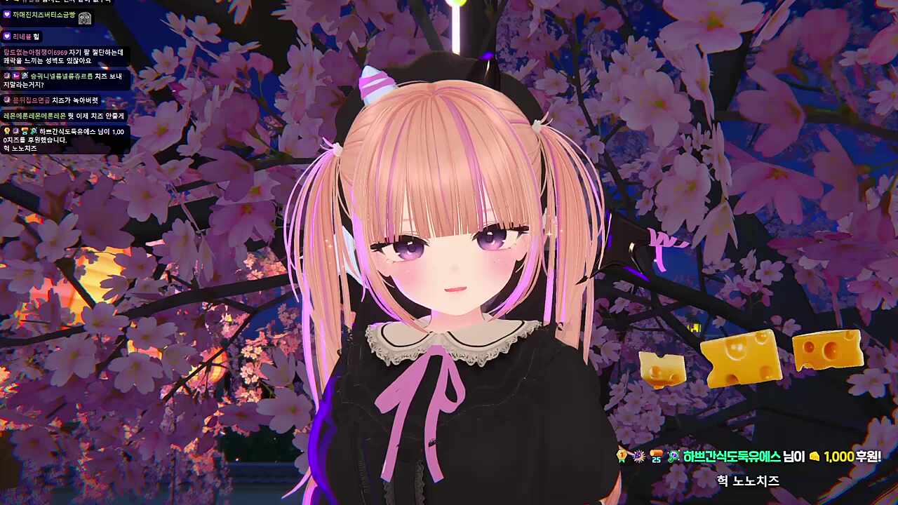 치즈 헤이러 노노치즈