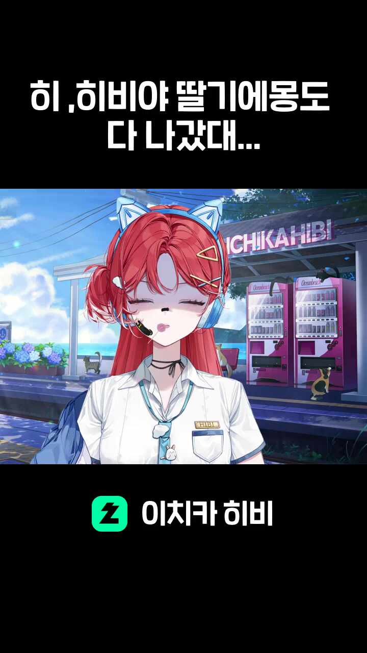 히 ,히비야 딸기에몽도 다 나갔대...