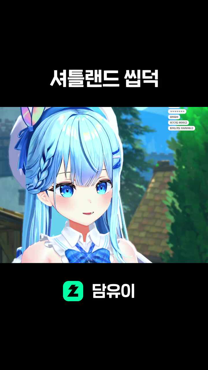 셔틀랜드 씹덕
