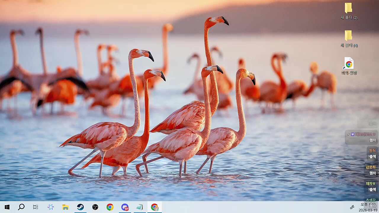 플라밍고 배경화면 킹받아하는 하루 ㅋㅋㅋㅋㅋ