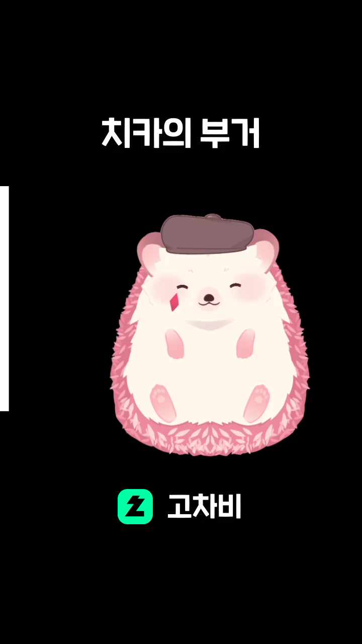 치카의 부거