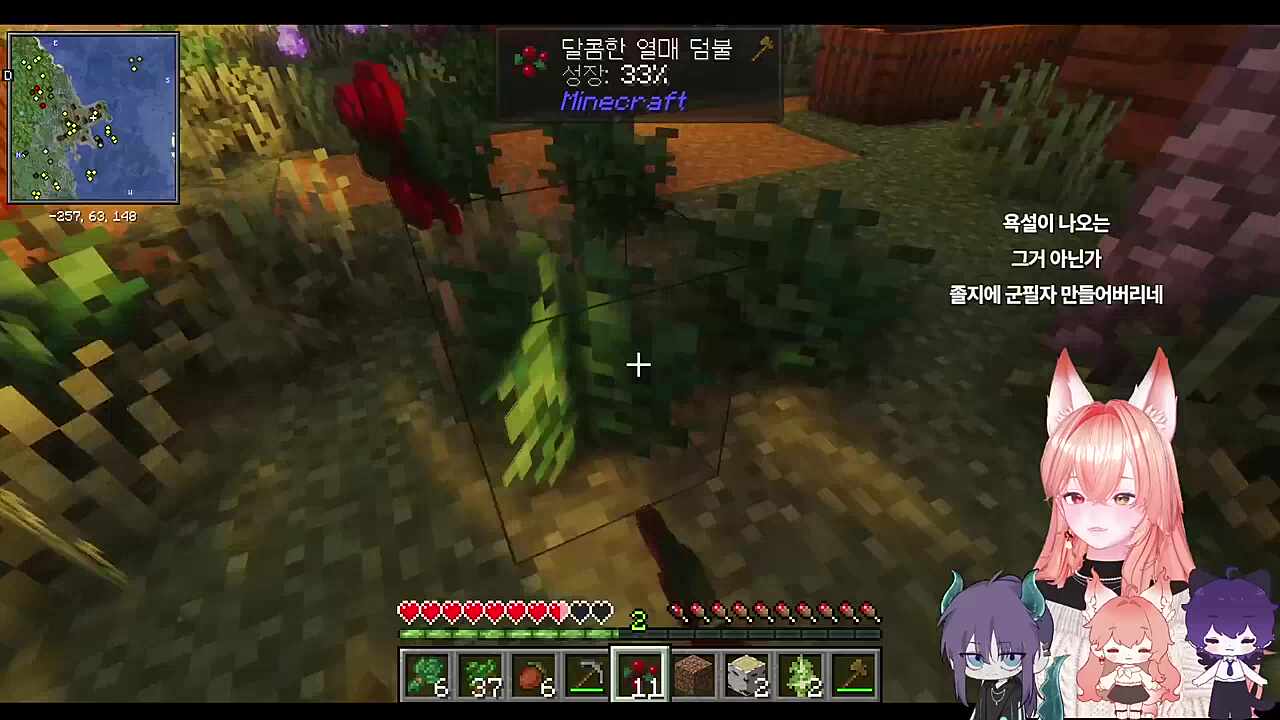 섹 뭐요?