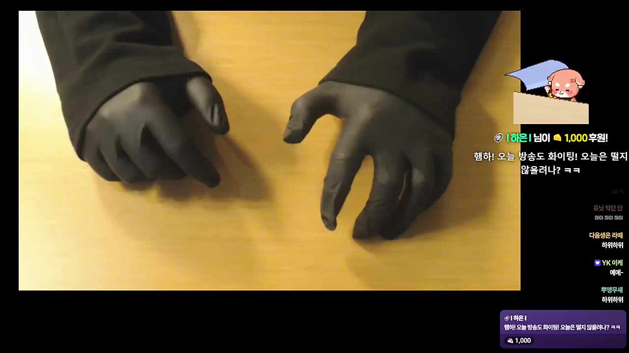 모에소매로 나타난 하루🐹