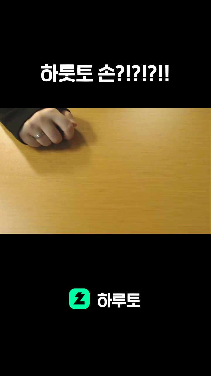 하룻토 손?!?!?!!