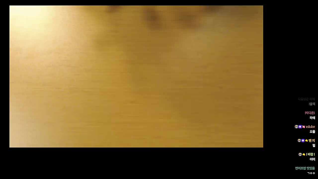 햄찌야 좀 먹어