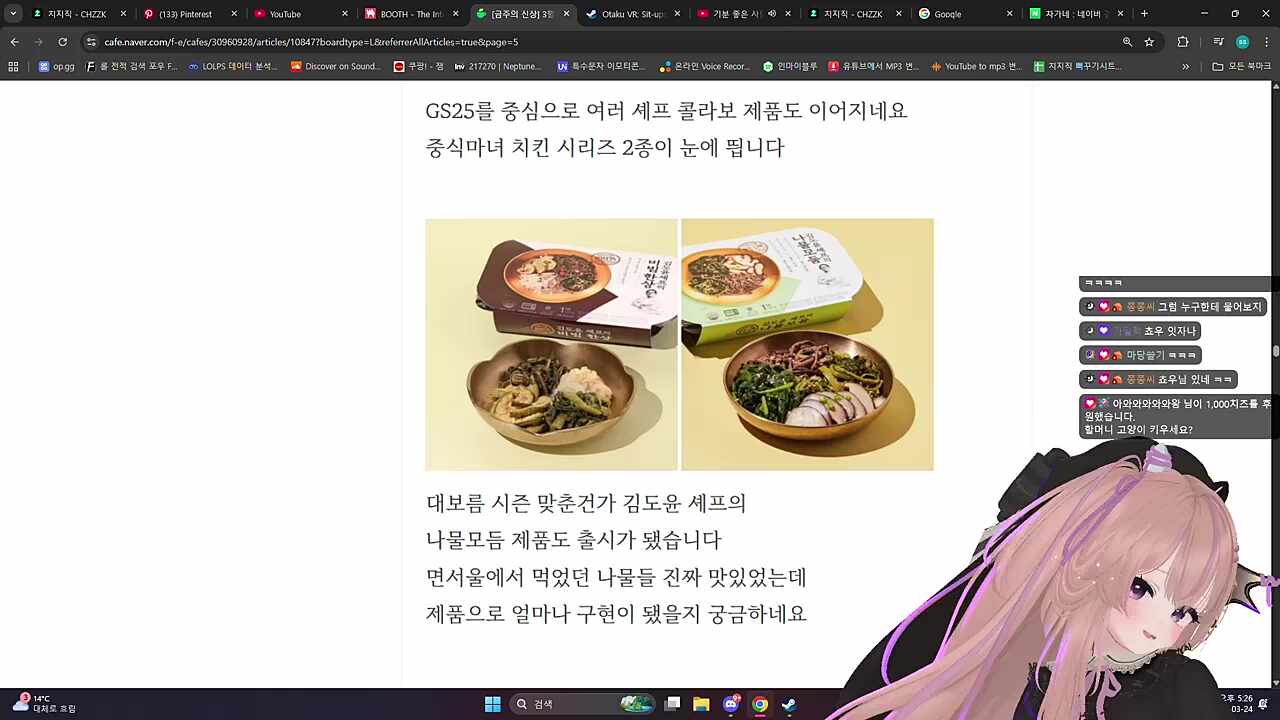 머리하는 고양이 데려왔어요