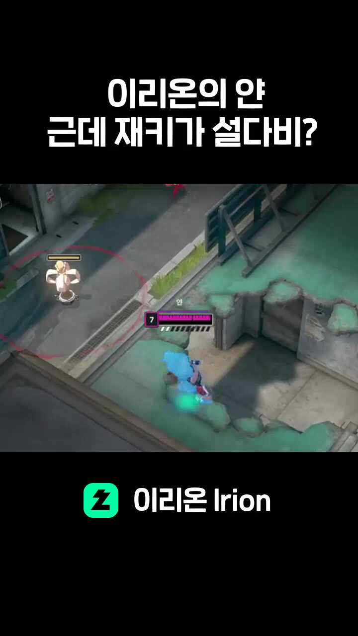 이리온의 얀 근데 재키가 설다비?