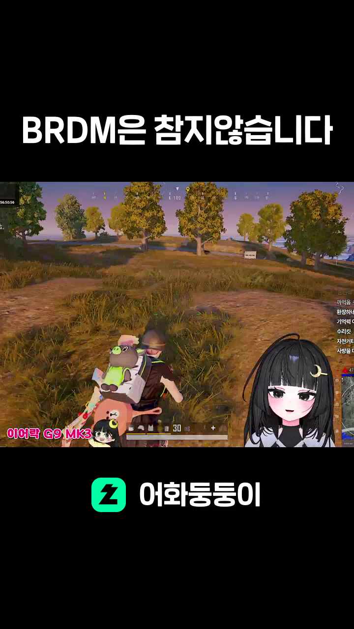 BRDM은 참지않습니다
