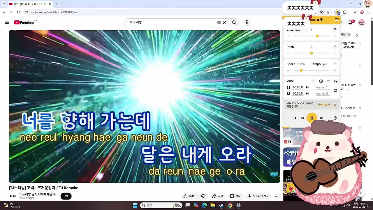 고백 - 고차비