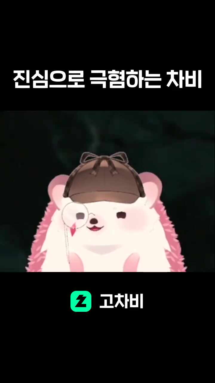 진심으로 극혐하는 차비
