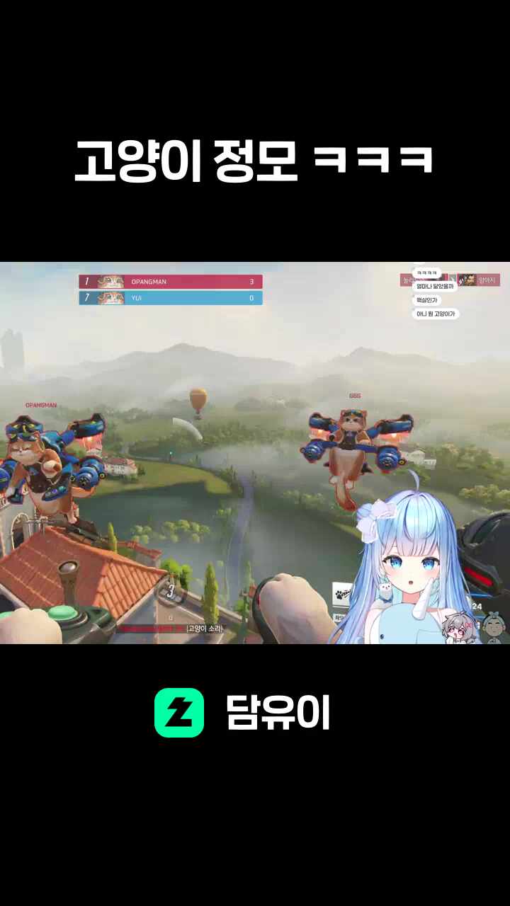 고양이 정모 ㅋㅋㅋ