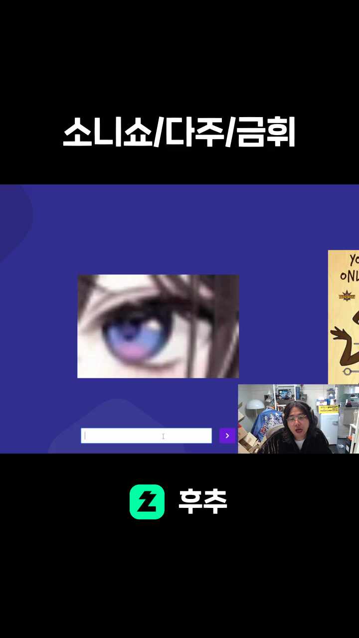 소니쇼/다주/금휘