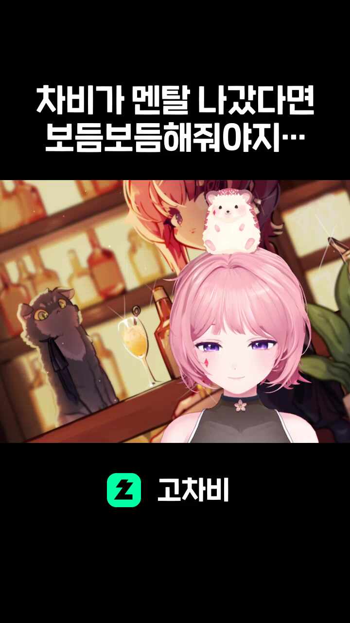 차비가 멘탈 나갔다면 보듬보듬해줘야지!! (귀여운 한가득)