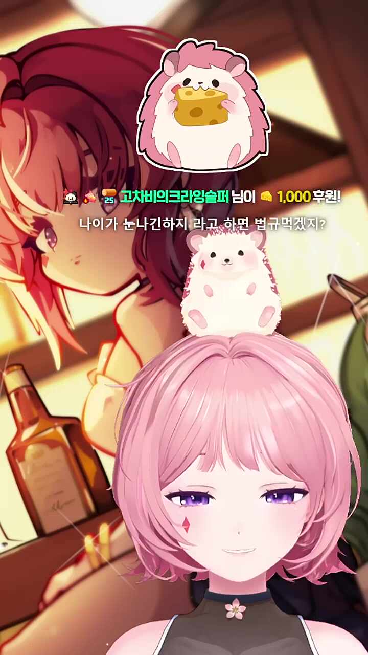 차비님이 하는 눈나 목소리..?