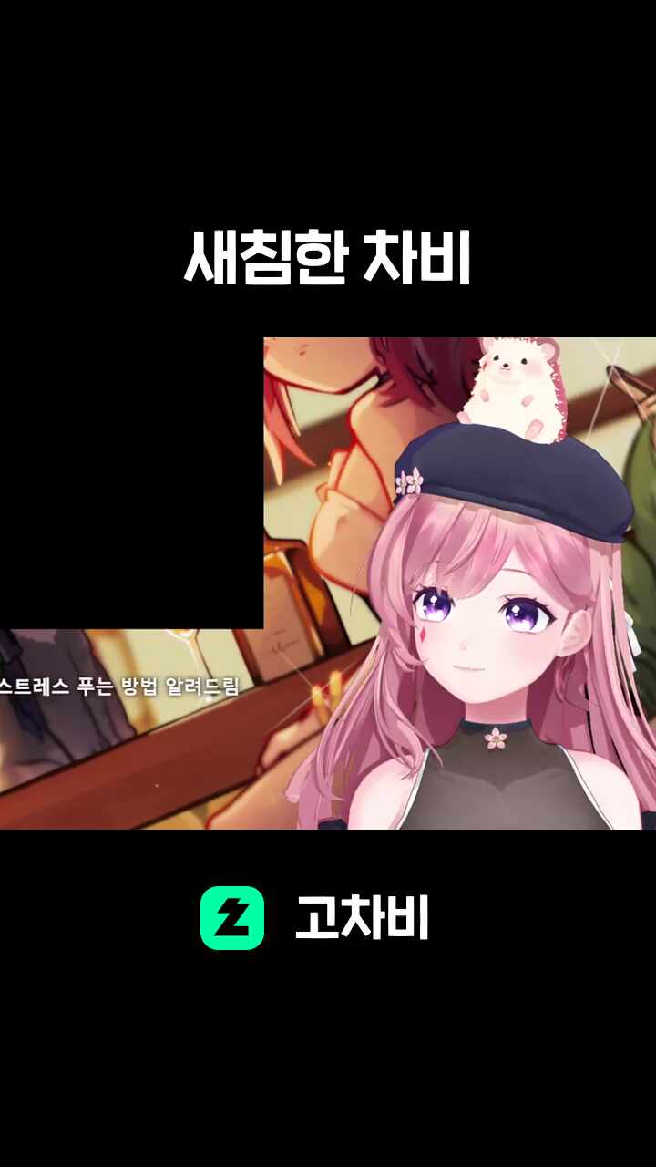 새침한 차비