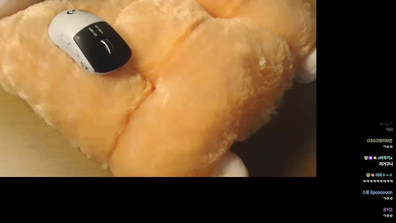 근육 햄찌 ㅋㅋㅋㅋㅋ