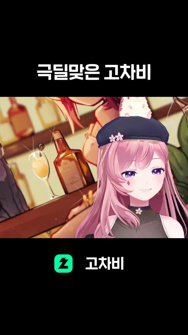 극딜맞은 고차비