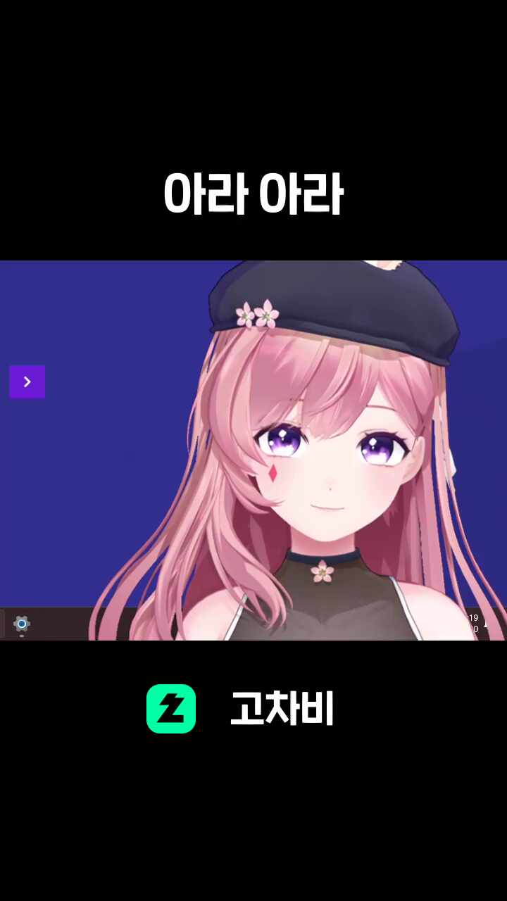 아라 아라