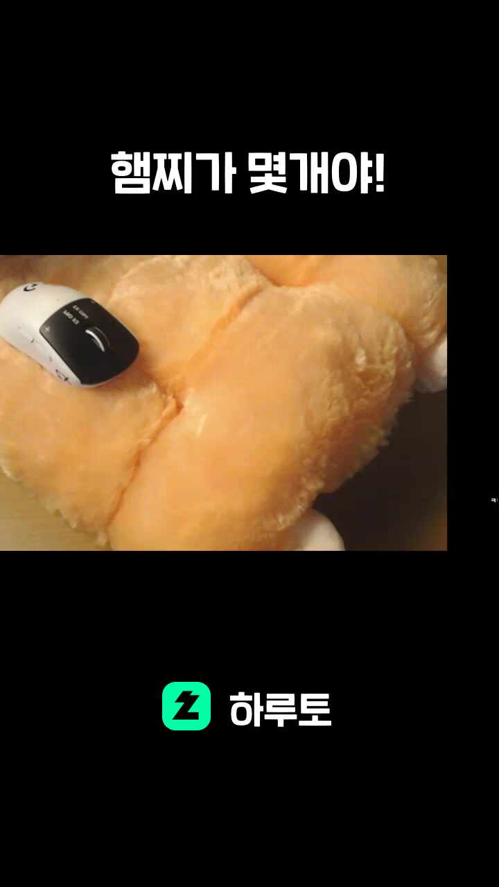 햄찌가 몇개야!