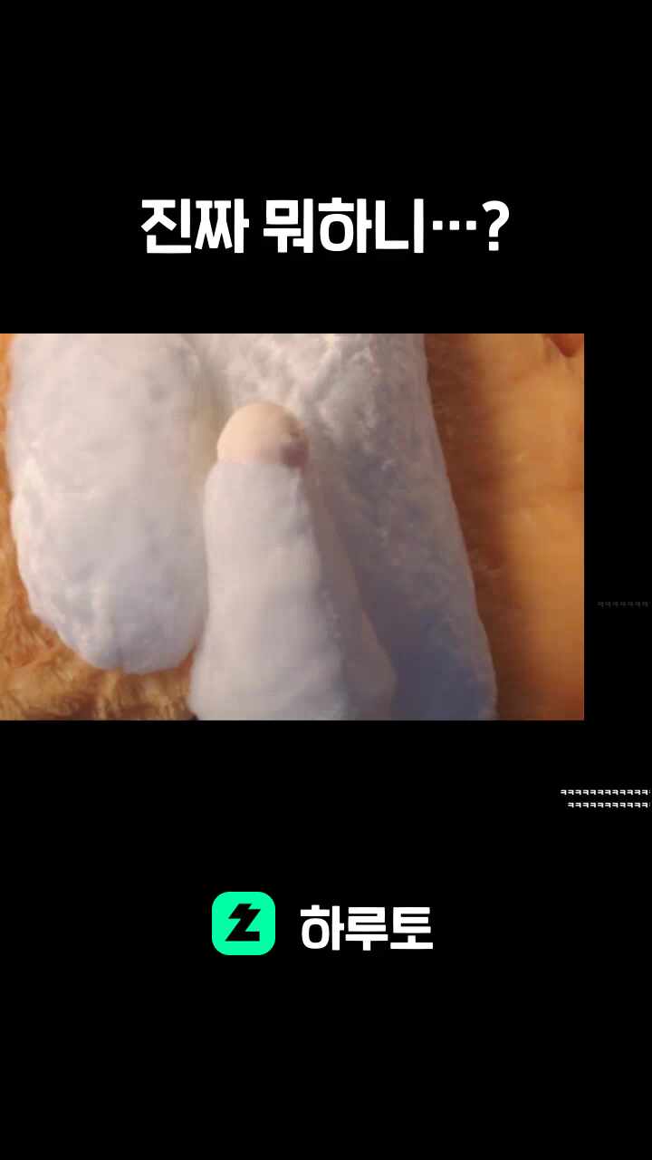 진짜 뭐하니…?