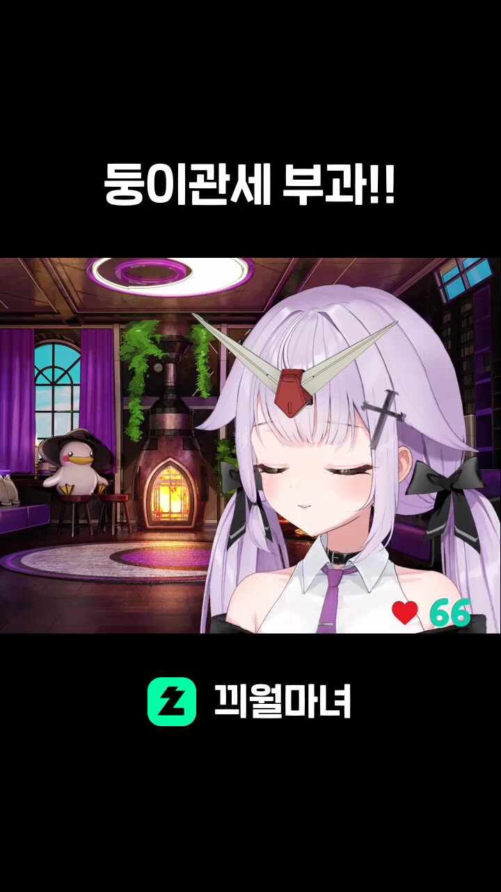 둥이관세 부과!!