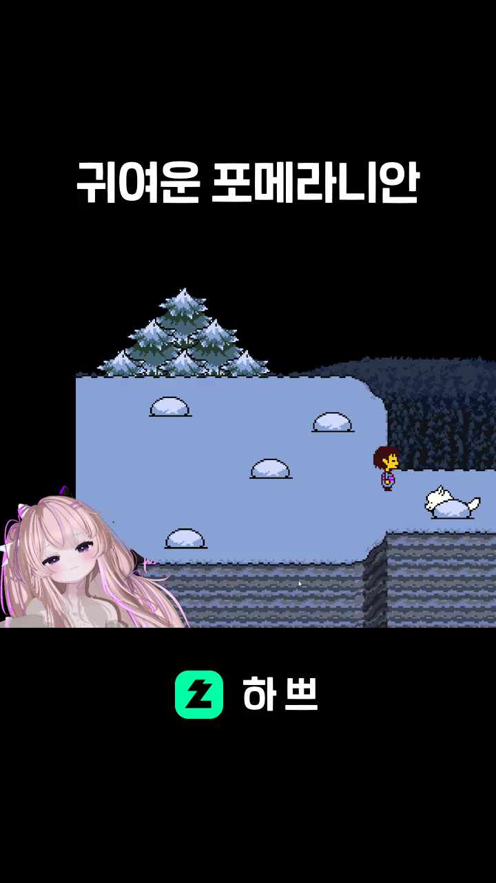 귀여운 포메라니안