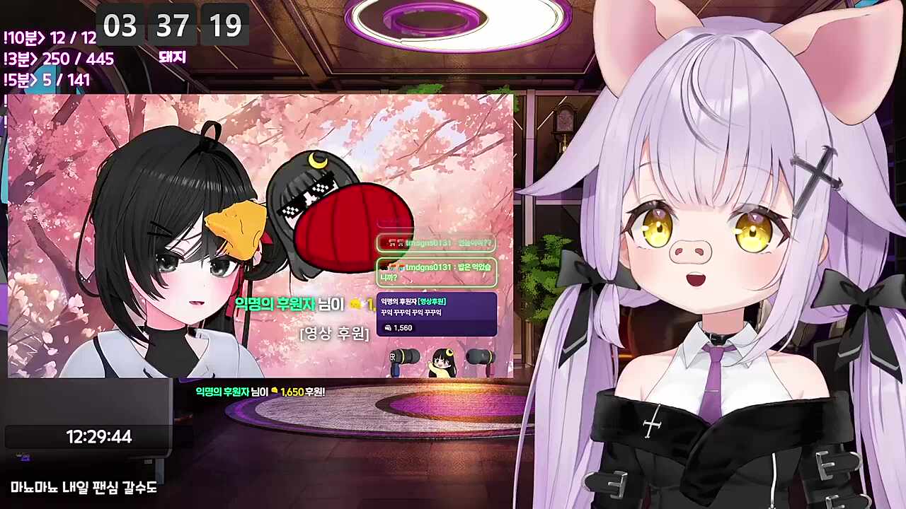 둥이관세 본보기