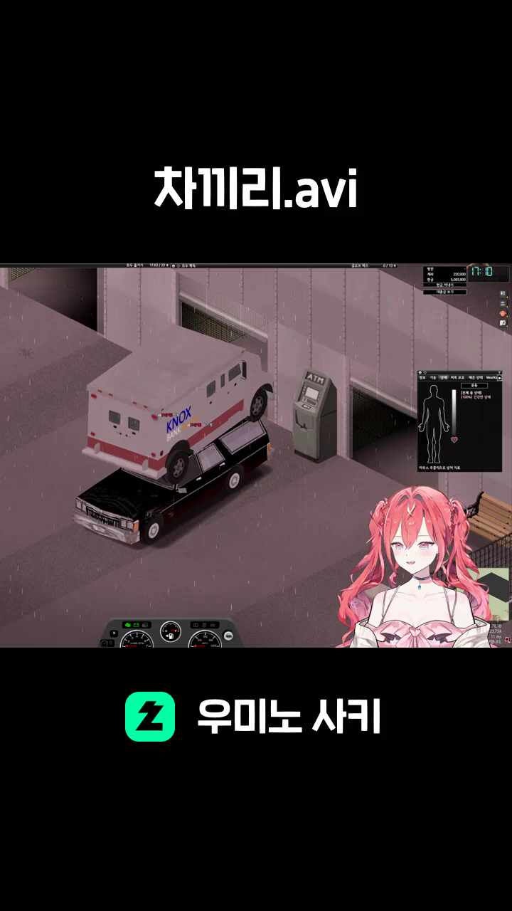 차끼리.avi