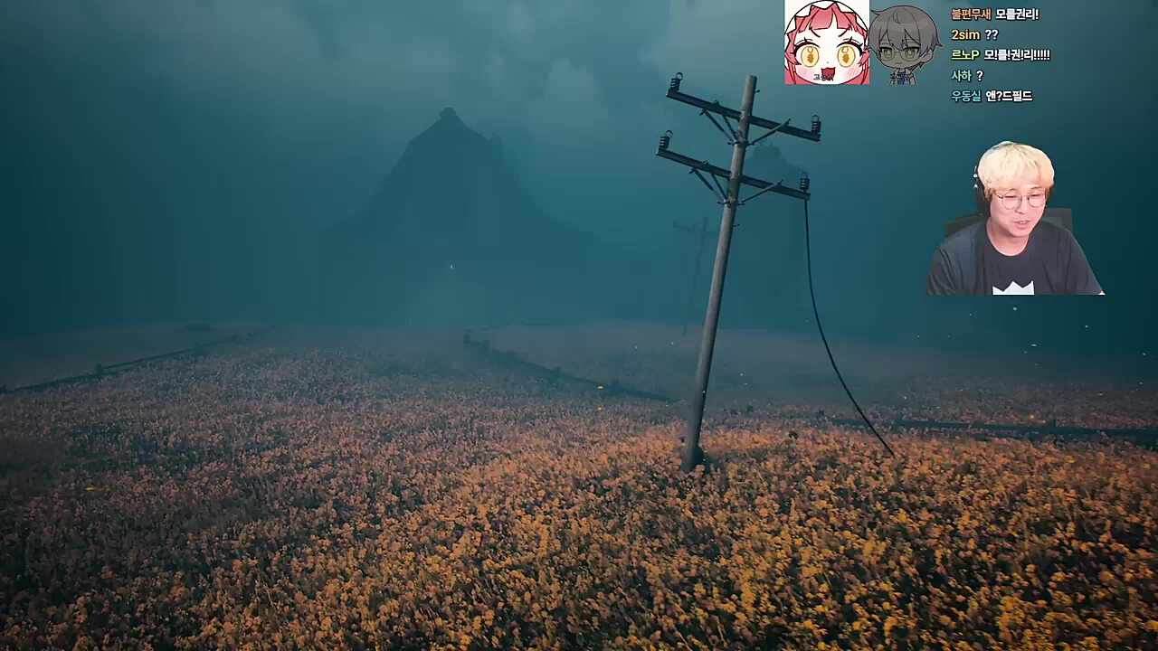 여자친구랑 벚꽃을 보러...