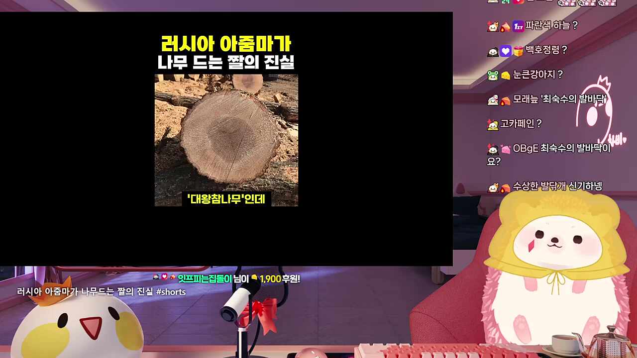 해병대 캠프에서 한 통나무