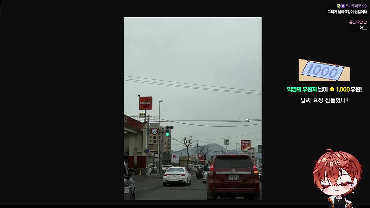 여행 하는 내내 흐렸었다는 하루🐹