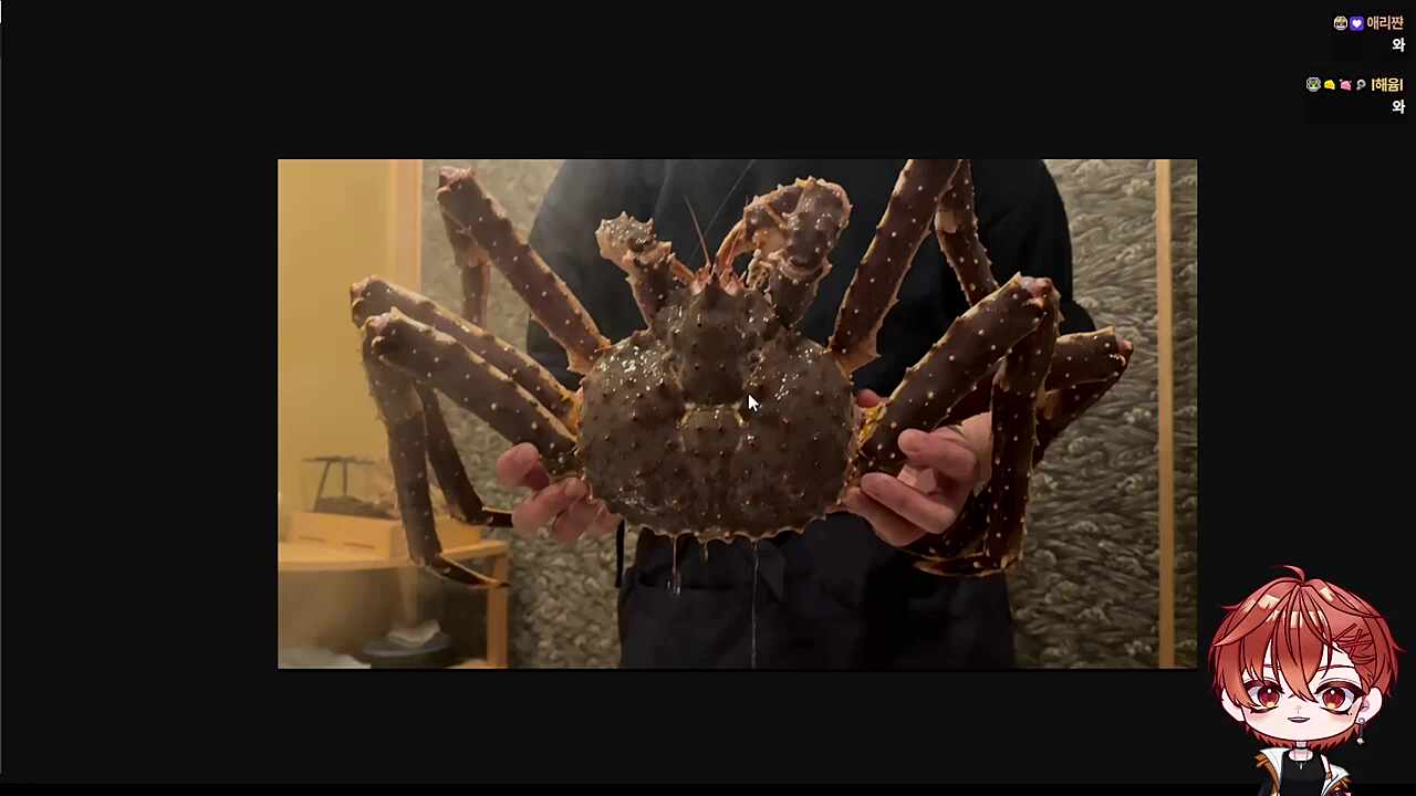 7kg 게 사진 보여주는 하루🐹