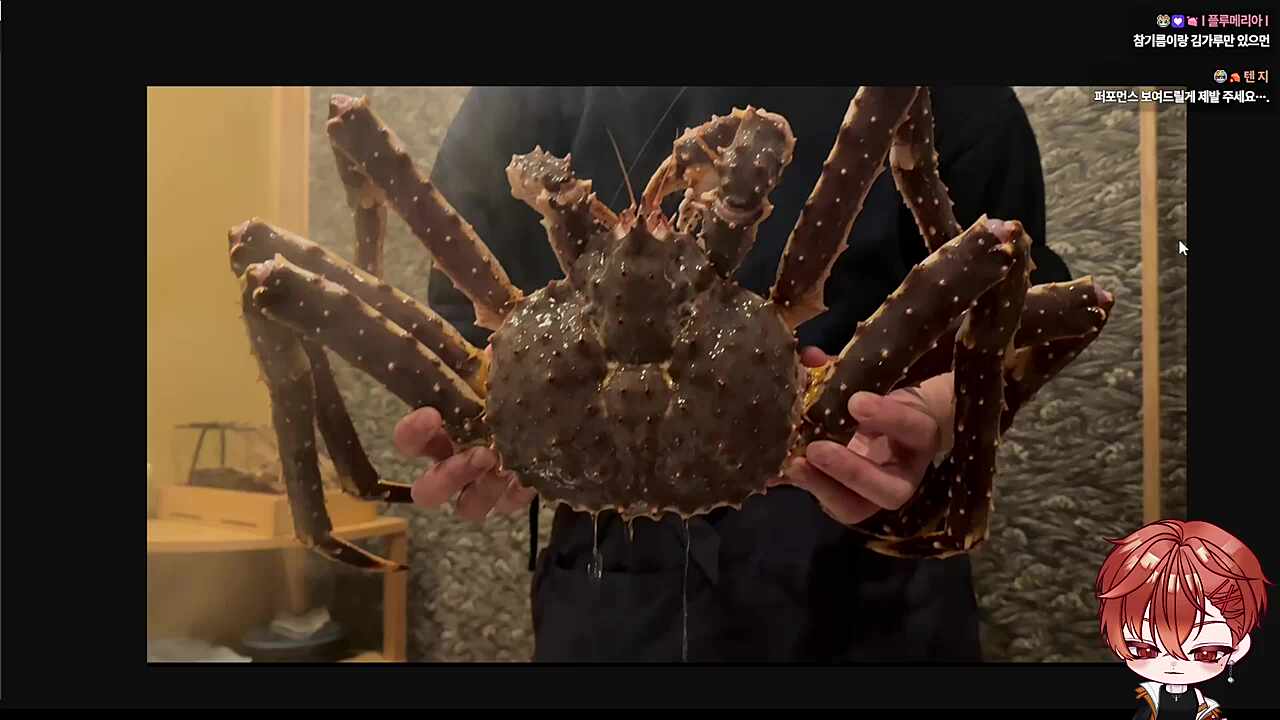 메론도 먹었쪄!🐹