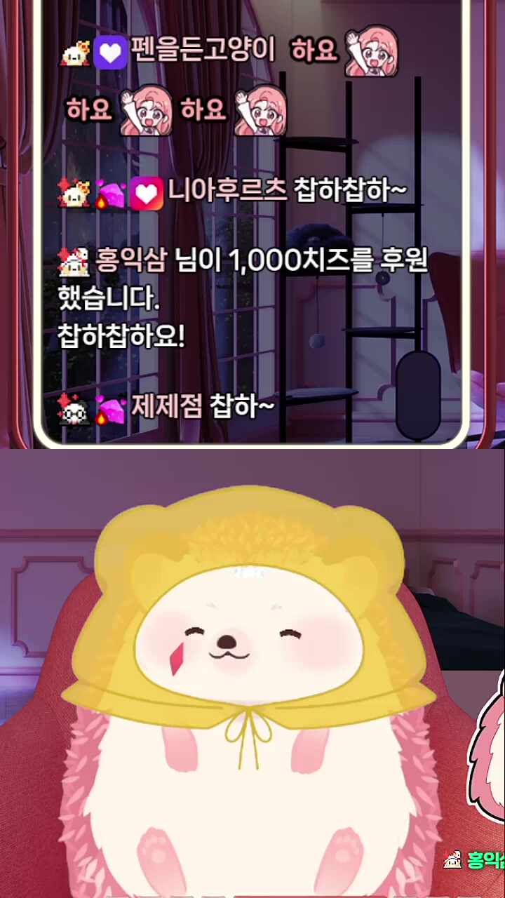 시래기 도치