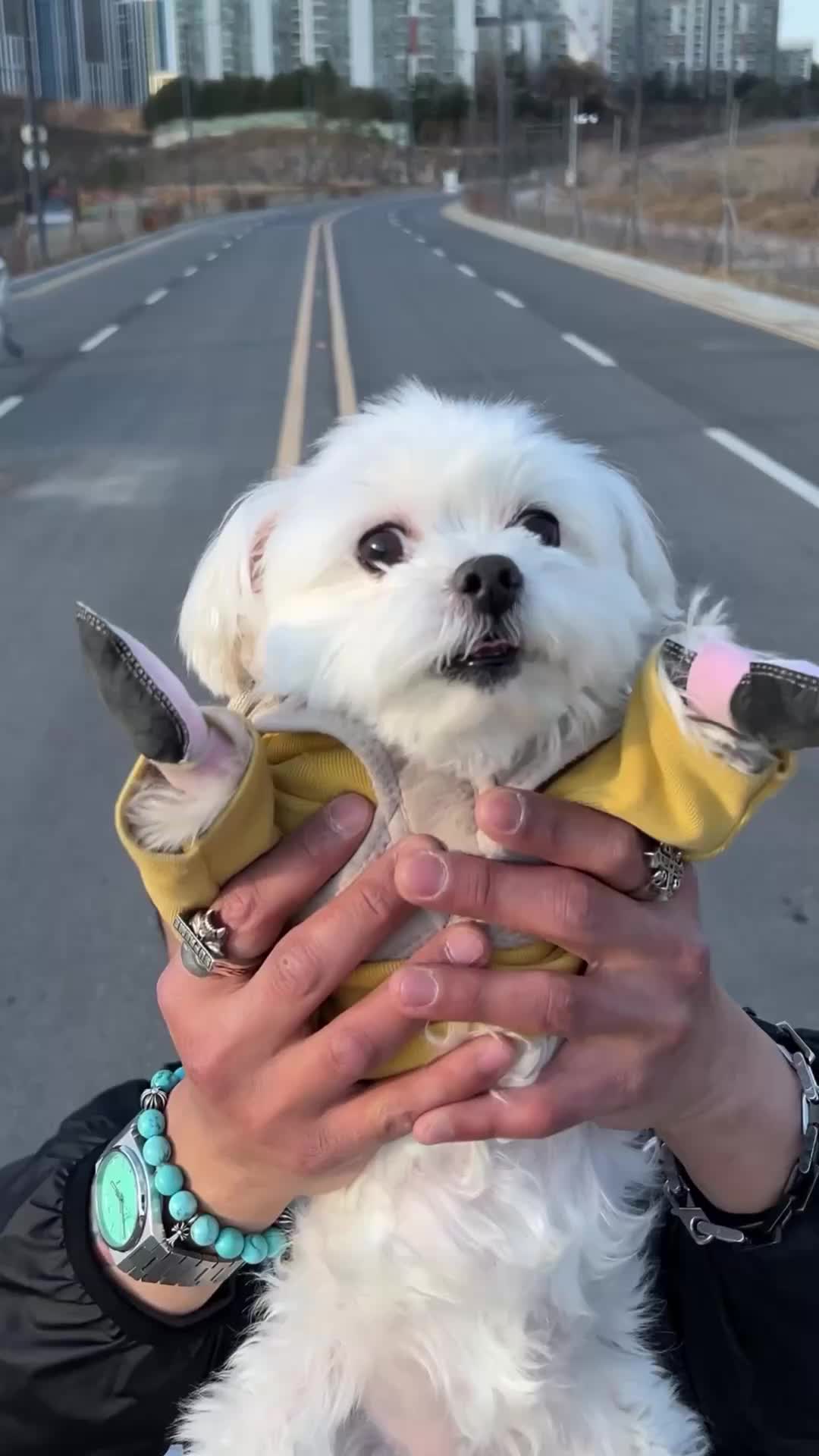 ์คํ์ผ ์นด๋